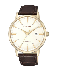 Citizen Eco-Drive BM7463-12A reloj hombre acero chapado oro esfera beige