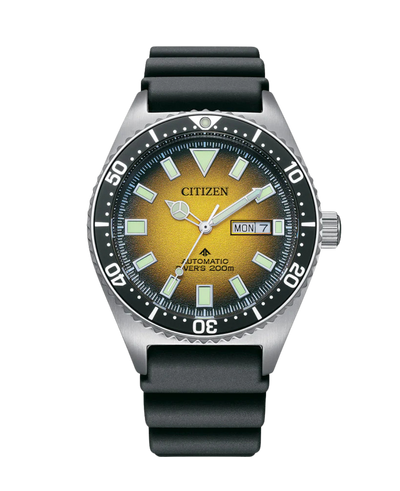 Citizen Promaster NY0120-01X
