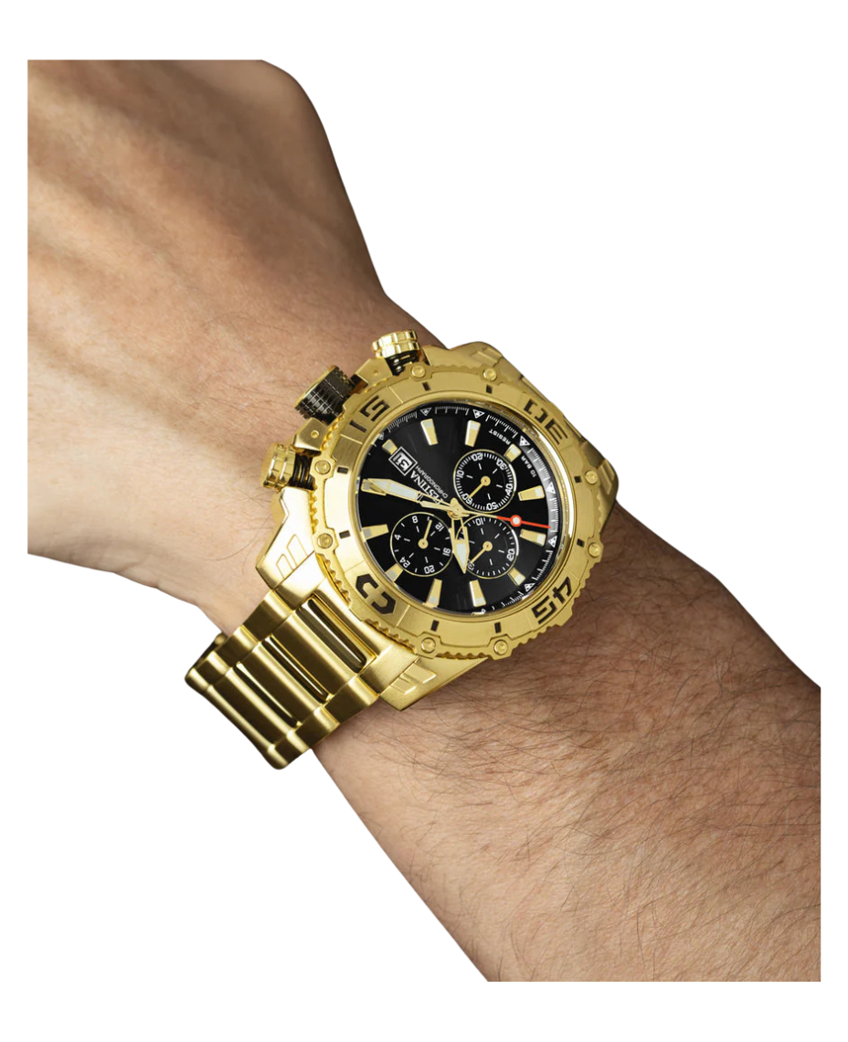 Festina Prestige F20492/4