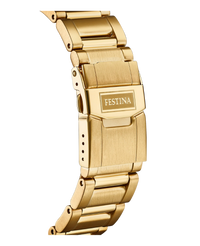 Festina Prestige F20492/4