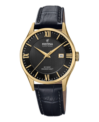 Festina Swiss Made F20010/4