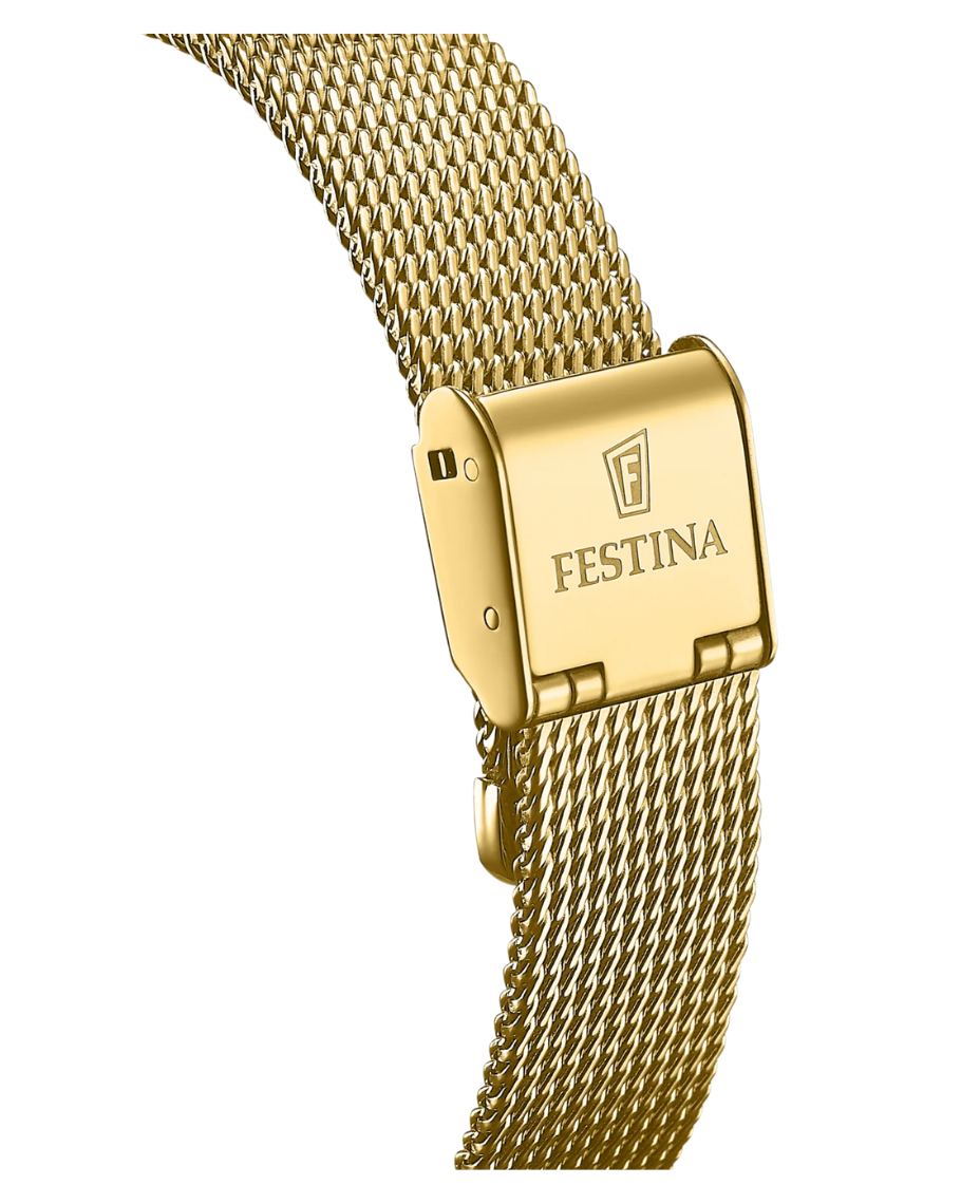 Festina Automatic F20629/1