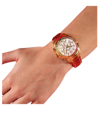 Festina Rainbow F20639/2