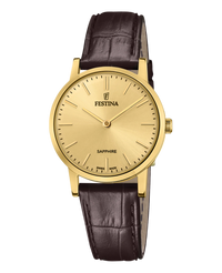Festina Swiss Made F20017/2