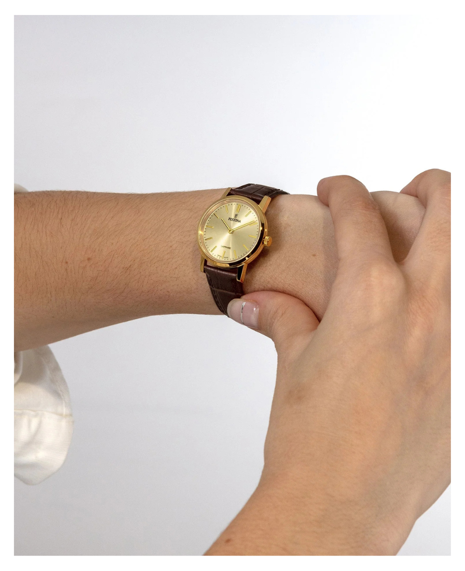 Festina Swiss Made F20017/2