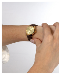 Festina Swiss Made F20017/2
