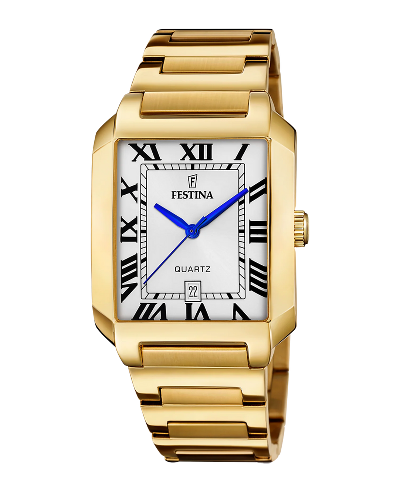 Festina F20678/1