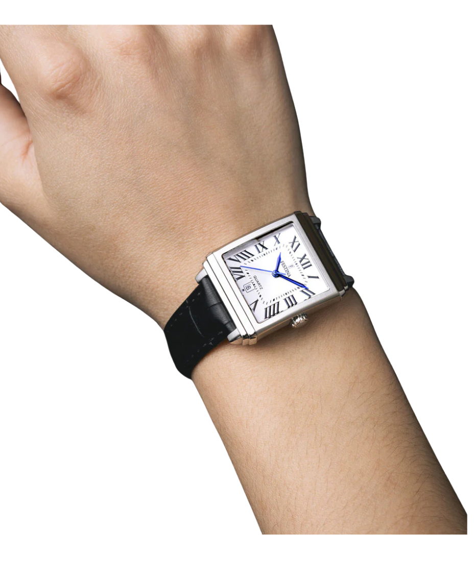 Festina F20682/3