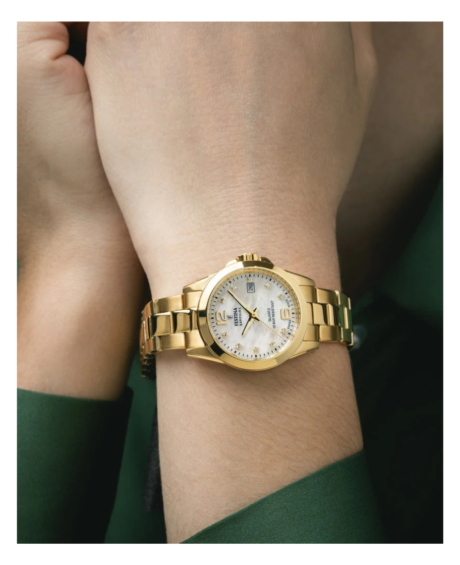 Festina Swiss Made F20050/1