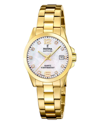 Festina Swiss Made F20050/1