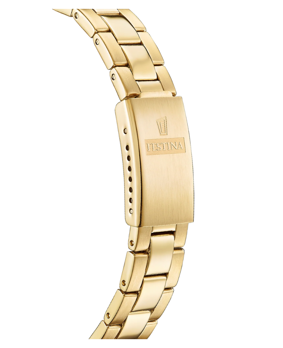 Festina Swiss Made F20050/2