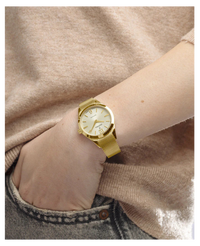 Festina Swiss Made F20077/3