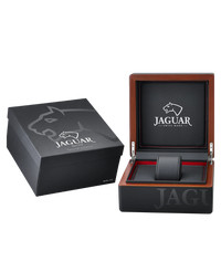 Jaguar Special Edition J811/1